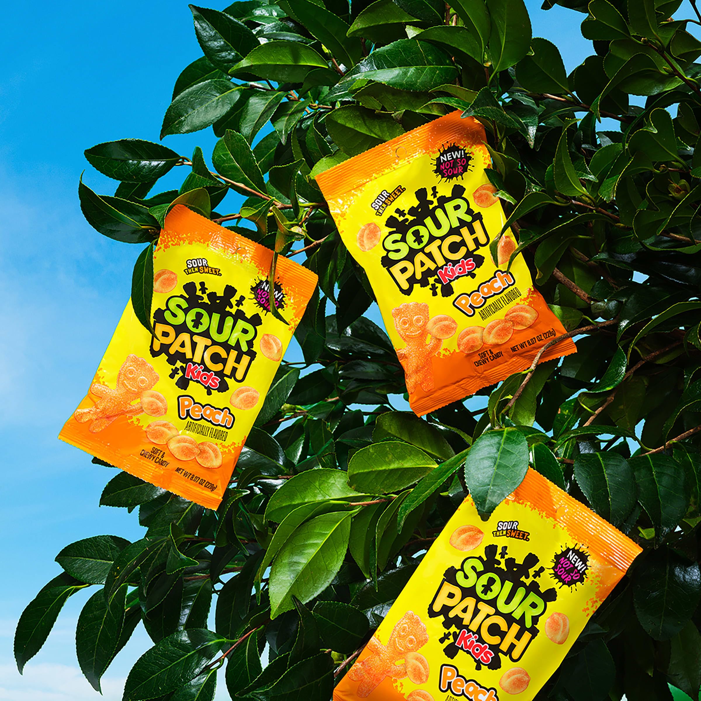 SOUR PATCH KIDS Peach Soft & Chewy Gummy Candy, 8.07 oz - Image 9
