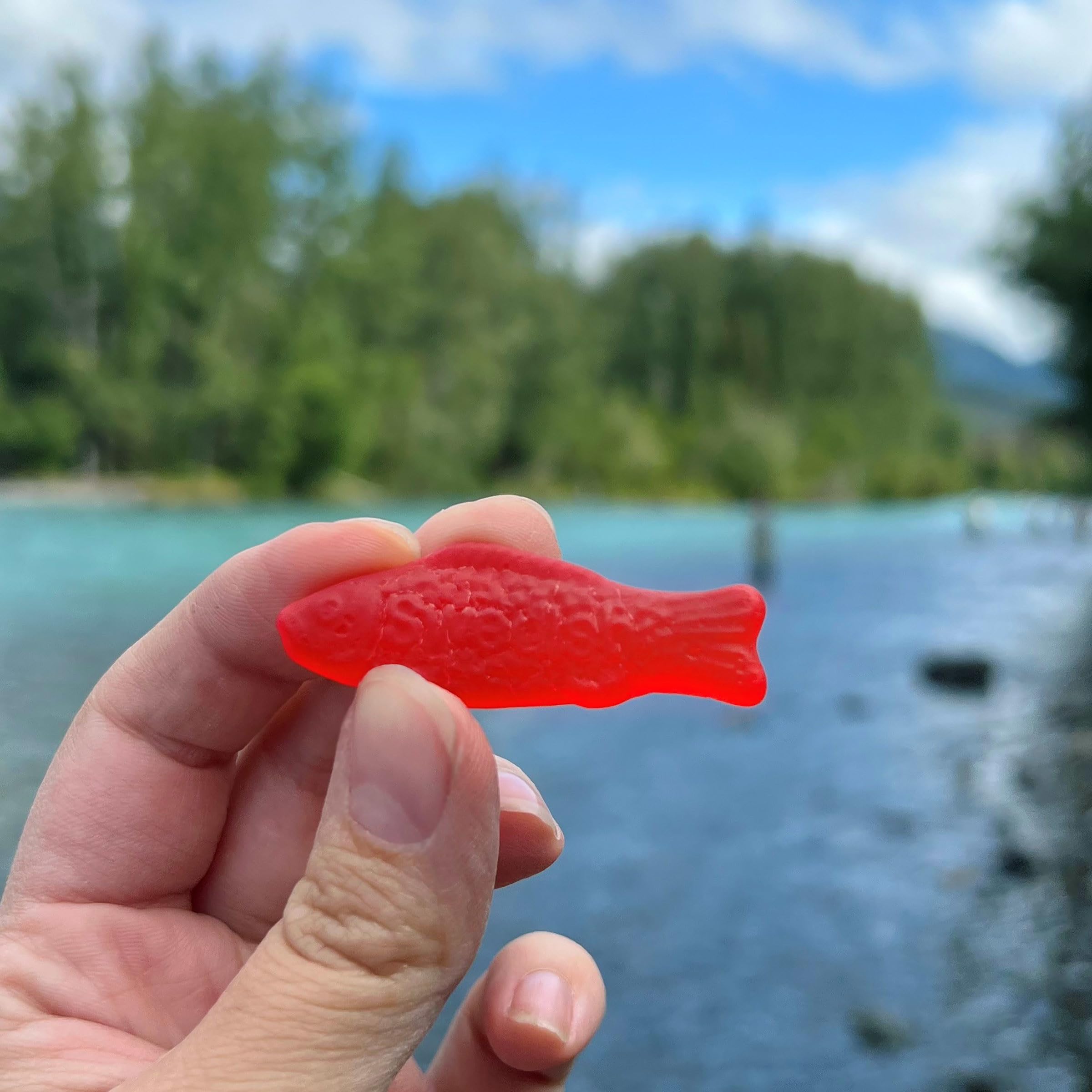 SWEDISH FISH Soft & Chewy Candy, 8 oz - Image 8
